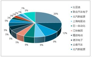 新能源车电控电机市场分析报告 2018 2024年中国新能源车电控电机行业全景调研及市场分析预测报告 